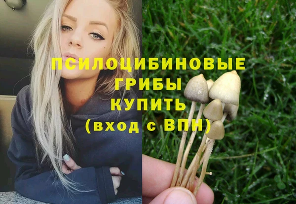 марки nbome Няндома