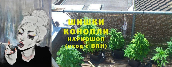 кокс Арсеньев