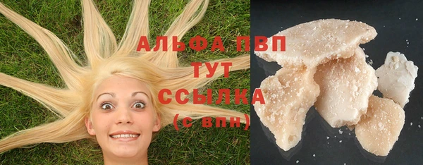 кокс Арсеньев