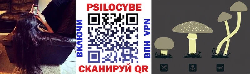 Псилоцибиновые грибы Psilocybine cubensis  blacksprut   Сорочинск  купить  сайты 